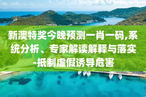 新澳特奖今晚预测一肖一码,系统分析、专家解读解释与落实-抵制虚假诱导危害