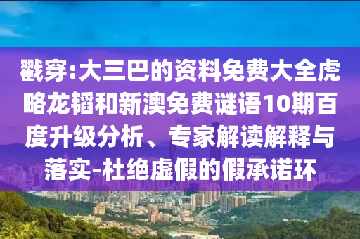 戳穿:大三巴的资料免费大全虎略龙韬和新澳免费谜语10期百度升级分析、专家解读解释与落实-杜绝虚假的假承诺环