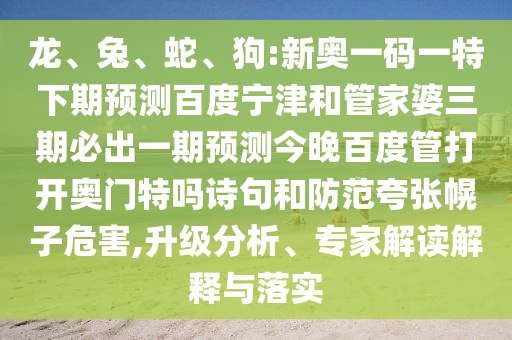 龙、兔、蛇、狗:新奥一码一特下期预测百度宁津和管家婆三期必出一期预测今晚百度管打开奥门特吗诗句和防范夸张幌子危害,升级分析、专家解读解释与落实